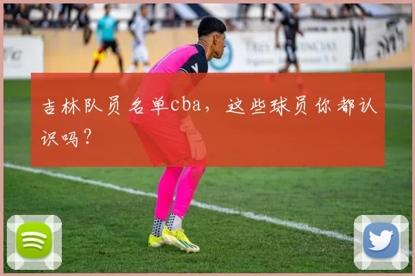 吉林队员名单cba，这些球员你都认识吗？